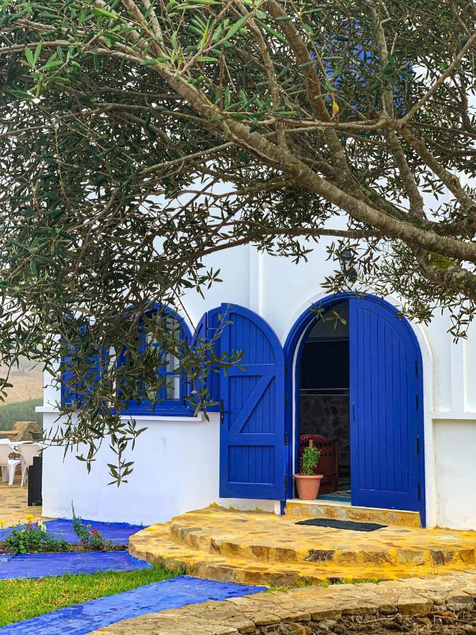 Dmina House * Arzila